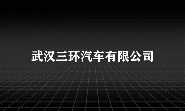 武汉三环汽车有限公司
