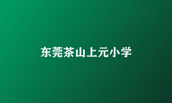 东莞茶山上元小学