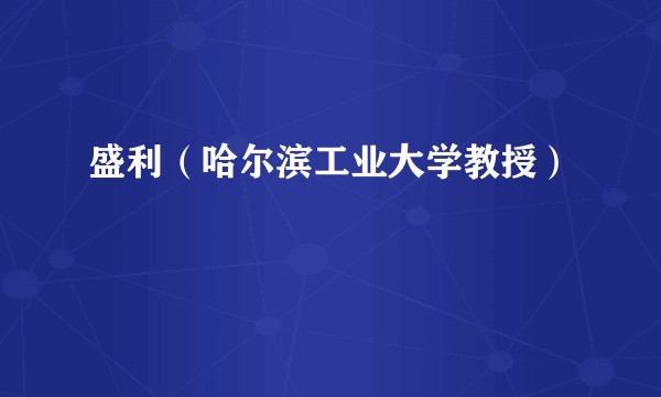 盛利（哈尔滨工业大学教授）
