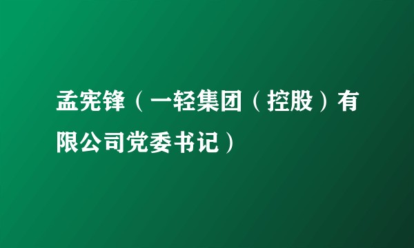 孟宪锋(一轻集团(控股)有限公司党委书记)