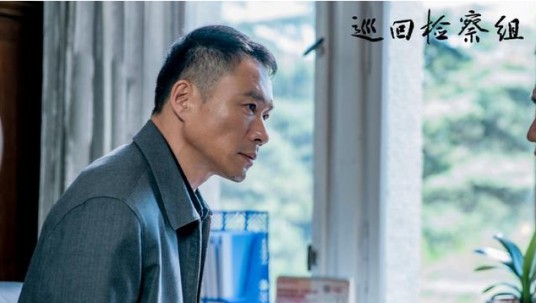 武强(2020年电视剧《巡回检察组》中的角色)