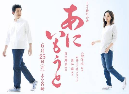 兄妹(日本2018年大泉洋主演电视剧)