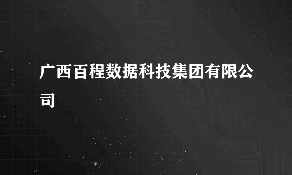广西百程数据科技集团有限公司