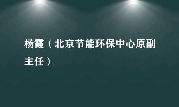 杨霞(北京节能环保中心原副主任)