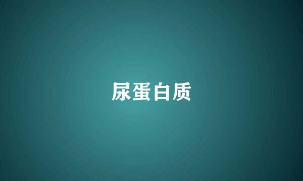 尿蛋白质