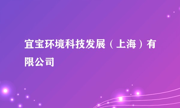 宜宝环境科技发展(上海)有限公司