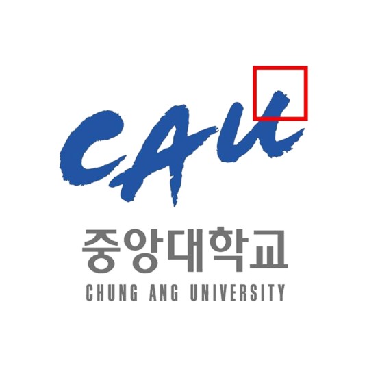 中央大学（韩国首尔境内的私立大学）