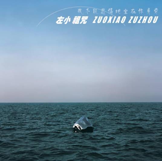 我不能悲伤地坐在你身旁(2005年左小祖咒发行的音乐专辑)