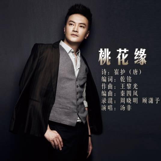 桃花缘（汤非演唱歌曲）