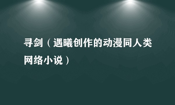 寻剑（遇曦创作的动漫同人类网络小说）