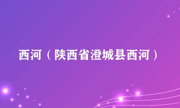 西河（陕西省澄城县西河）