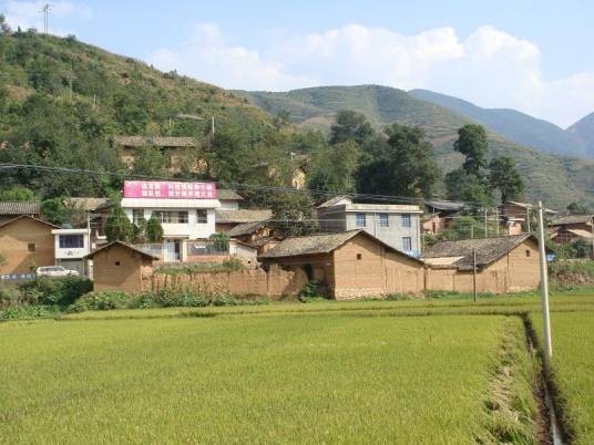 坝上村(云南省禄劝县茂山镇下辖村)