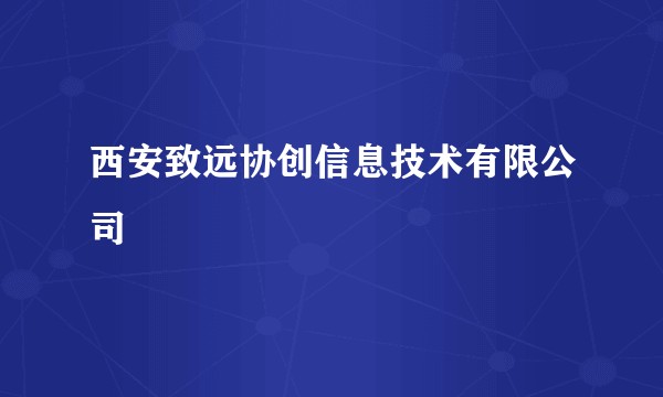 西安致远协创信息技术有限公司