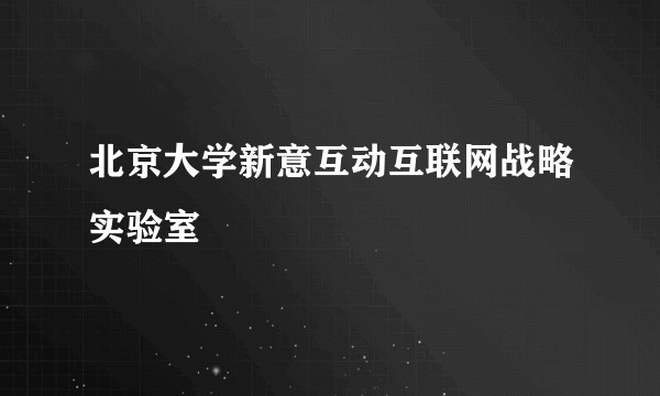 北京大学新意互动互联网战略实验室