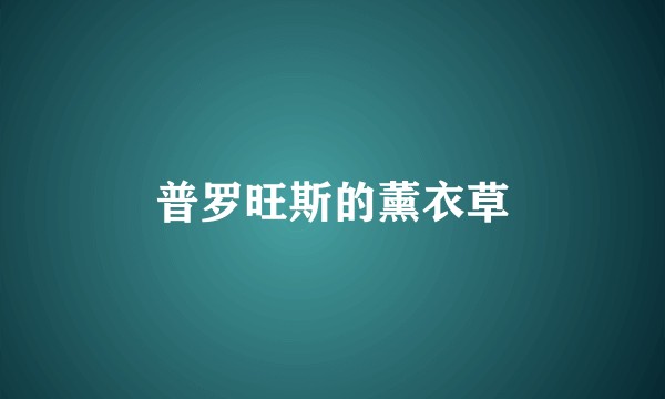 普罗旺斯的薰衣草