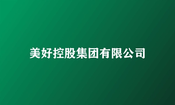 美好控股集团有限公司