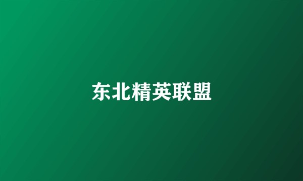 东北精英联盟