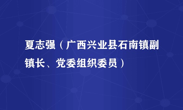 夏志强(广西兴业县石南镇副镇长、党委组织委员)