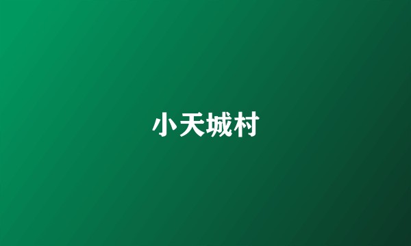 小天城村