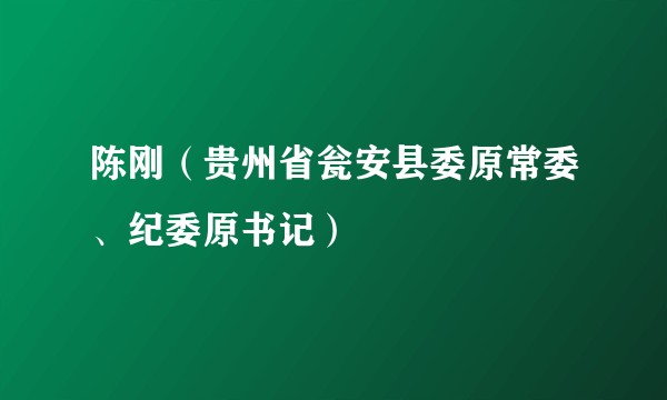 陈刚(贵州省瓮安县委原常委、纪委原书记)