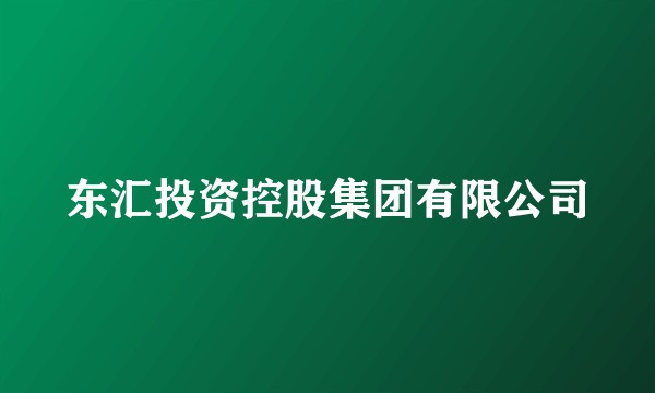 东汇投资控股集团有限公司