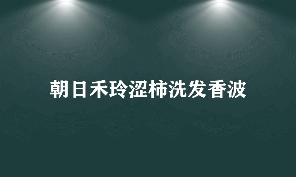 朝日禾玲涩柿洗发香波