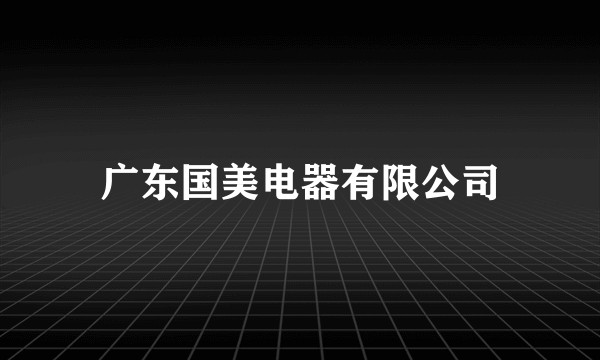 广东国美电器有限公司
