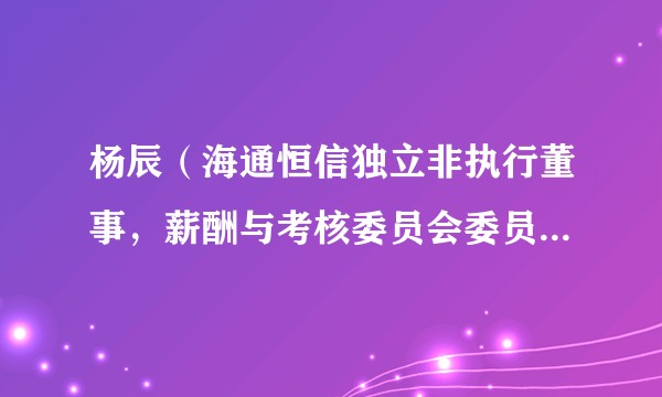 杨辰(海通恒信独立非执行董事,薪酬与考核委员会委员,审计委员会委员,风险管理委员会主任)