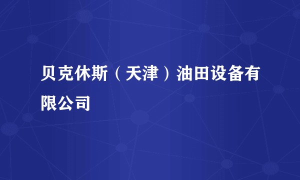 贝克休斯（天津）油田设备有限公司