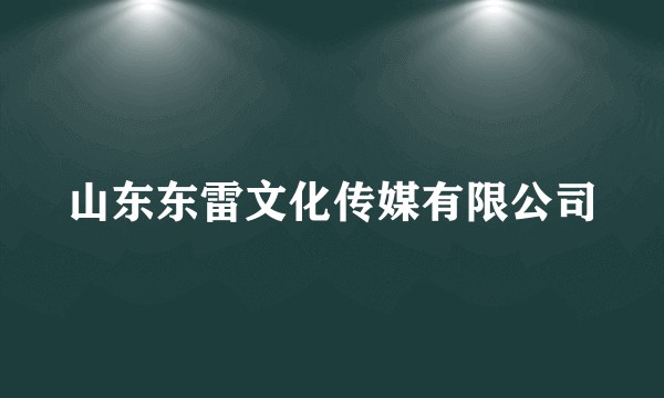 山东东雷文化传媒有限公司