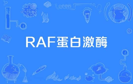 Raf蛋白激酶