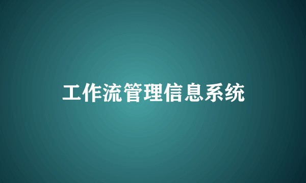 工作流管理信息系统