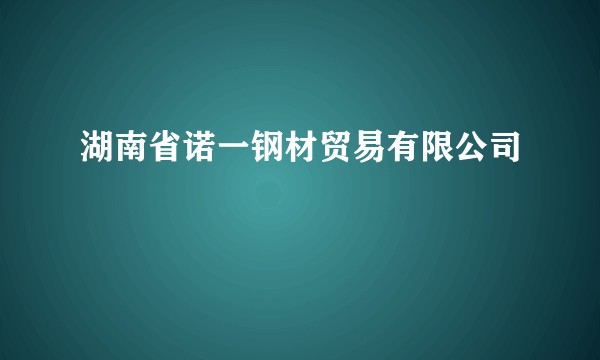 湖南省诺一钢材贸易有限公司