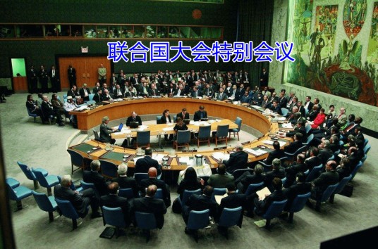 联合国大会特别会议(联合国举行的特别会议)