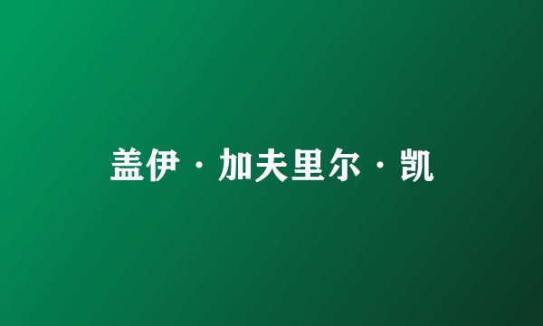 盖伊·加夫里尔·凯