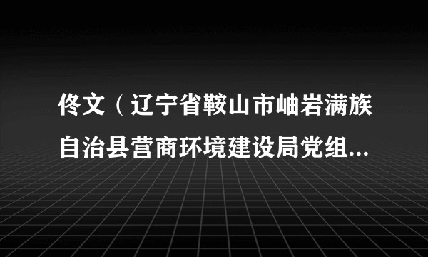 佟文(辽宁省鞍山市岫岩满族自治县营商环境建设局党组成员、副局长)