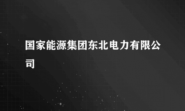 国家能源集团东北电力有限公司