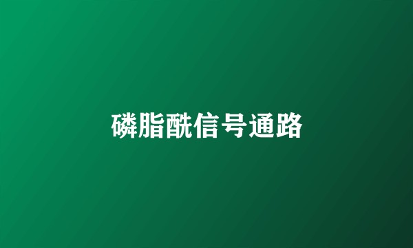 磷脂酰信号通路
