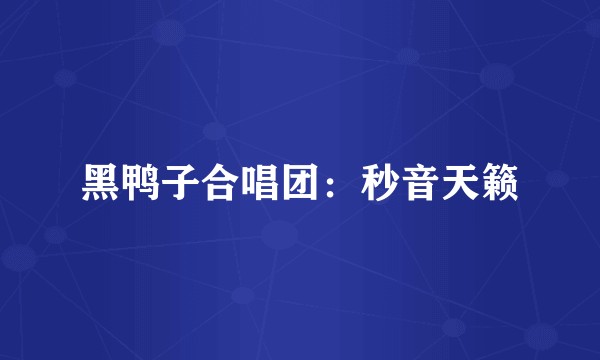 黑鸭子合唱团:秒音天籁