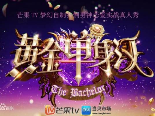黄金单身汉第二季