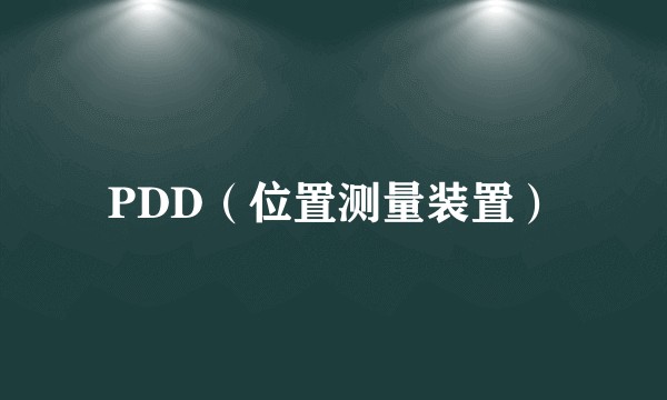 PDD（位置测量装置）