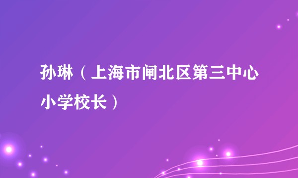 孙琳(上海市闸北区第三中心小学校长)