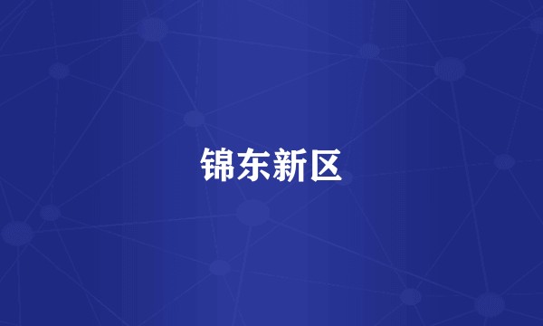 锦东新区
