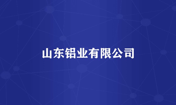 山东铝业有限公司