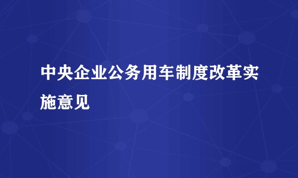 中央企业公务用车制度改革实施意见