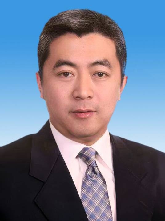 赵宏宇（河南省鹤壁市委书记）