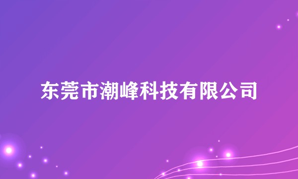 东莞市潮峰科技有限公司