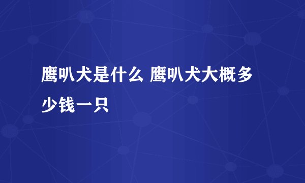 鹰叭犬是什么 鹰叭犬大概多少钱一只