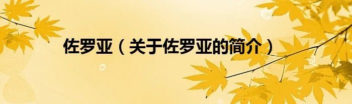 佐罗亚（关于佐罗亚的简介）