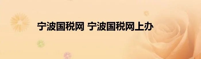 宁波国税网 宁波国税网上办